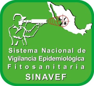 SINAVEF